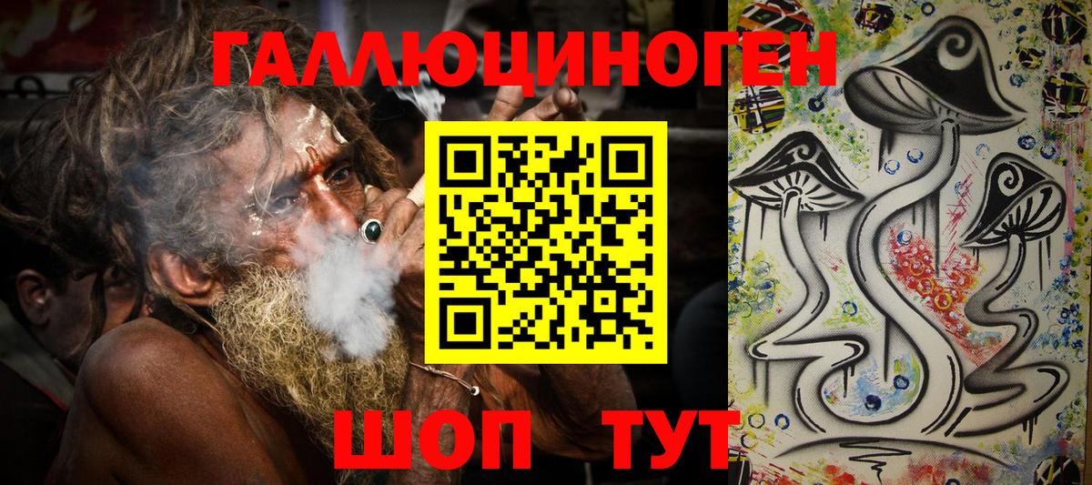 Псилоцибиновые грибы Psilocybine cubensis Алексеевка